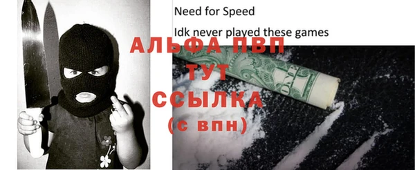 индика Костерёво