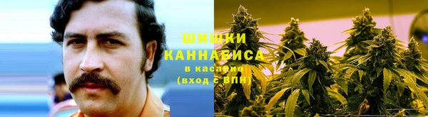 хмурый Корсаков