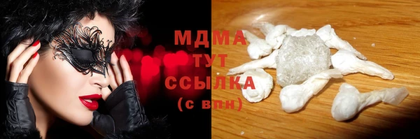 индика Костерёво