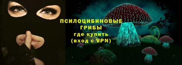 хмурый Корсаков