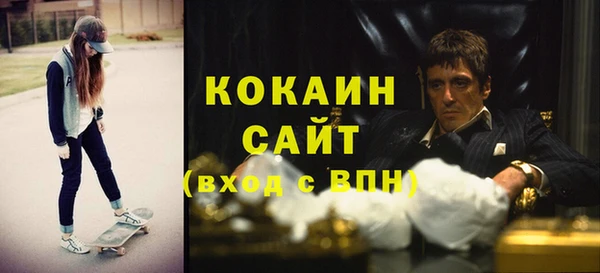 индика Костерёво