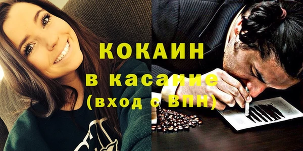 индика Костерёво