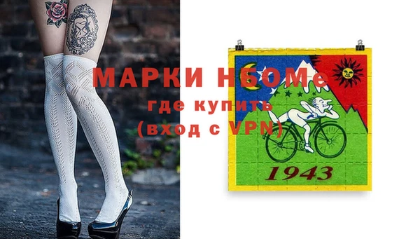 индика Костерёво