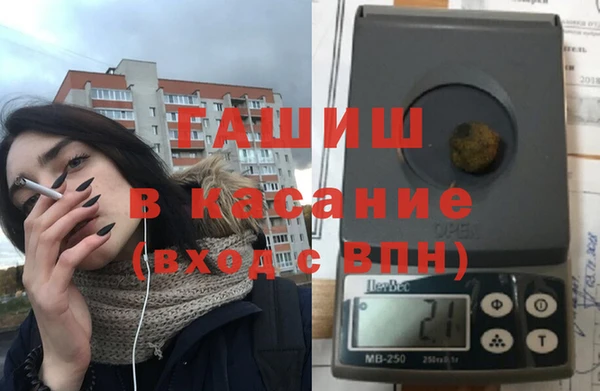 индика Костерёво