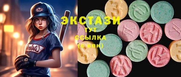 индика Костерёво