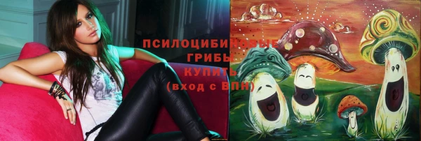 хмурый Корсаков