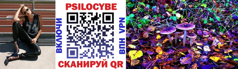 Купить закладки  Домодедово  Псилоцибиновые грибы Psilocybe 